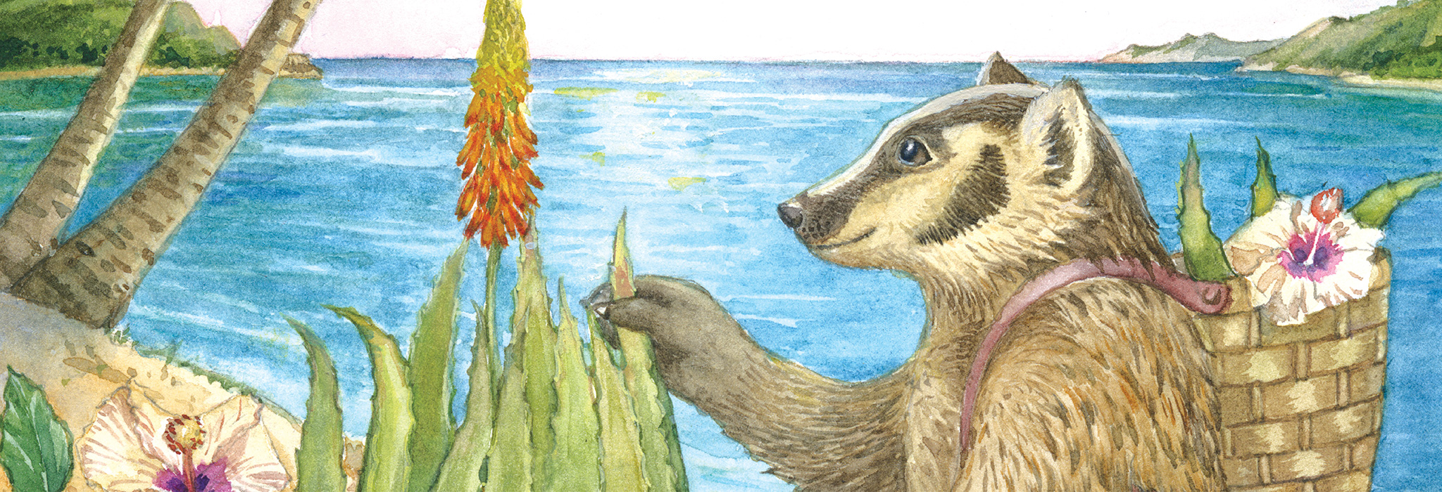 organic hand and body moisturizers