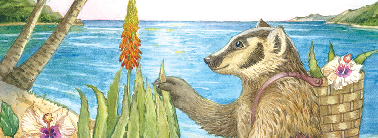 organic hand and body moisturizers