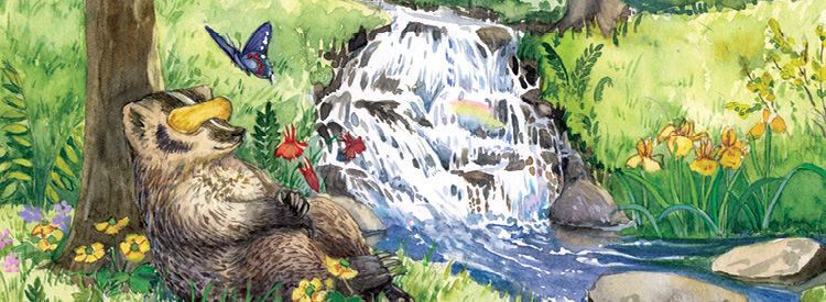 organic aromatherapy products for meditation and yoga